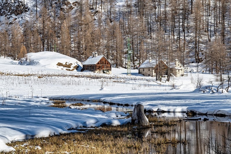 Witch's Cabins